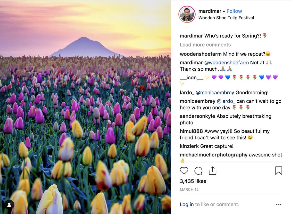 Instagram Follow Friday – Spring Has Sprung!
