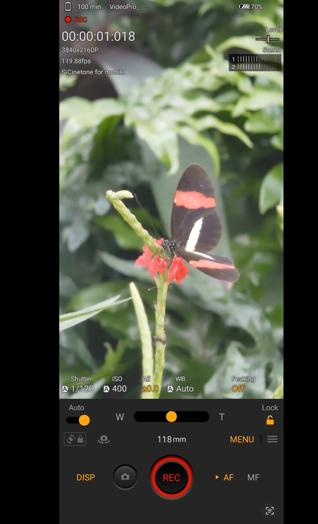 Butterfly Click Tester APK for Android Download