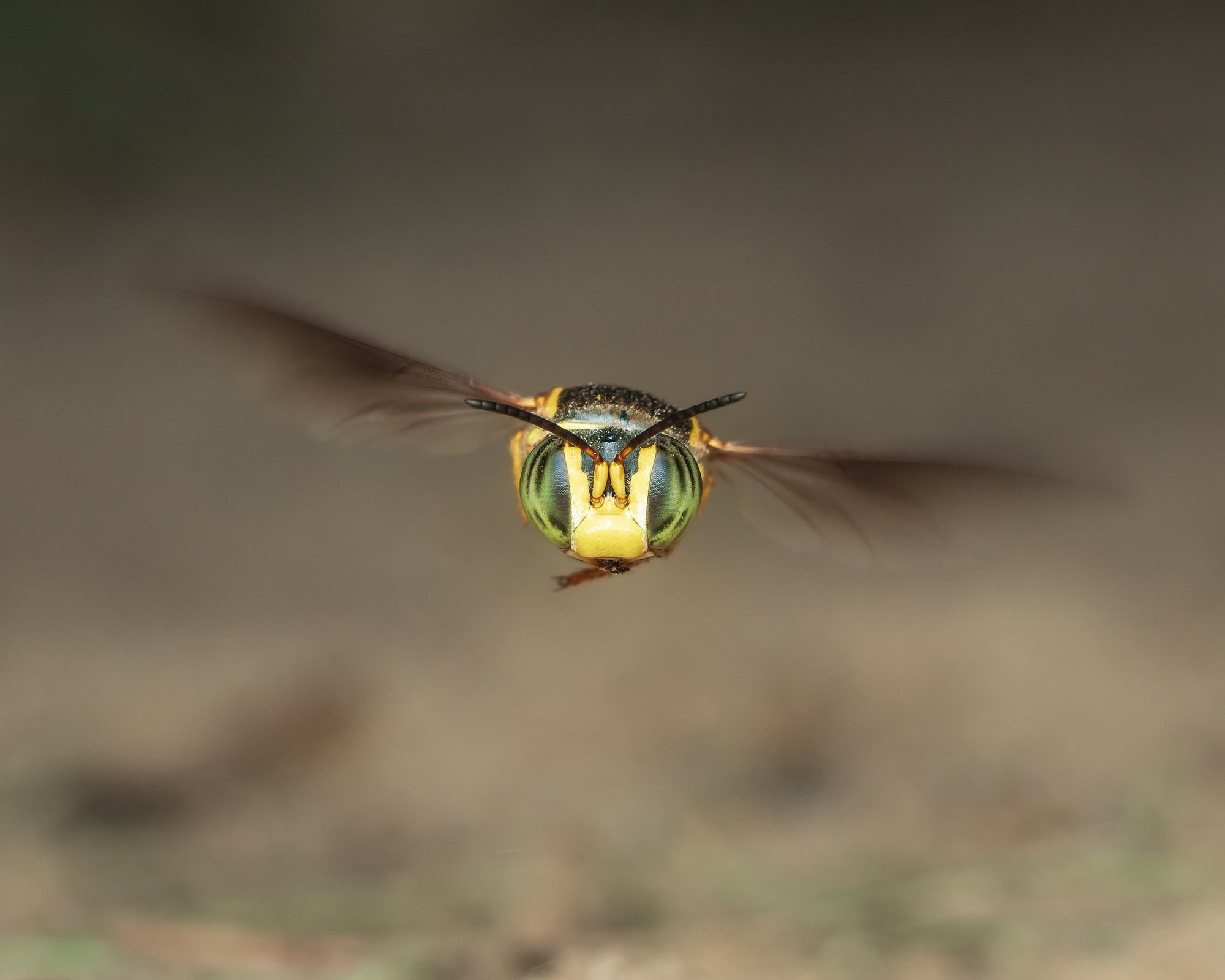 flying small camera