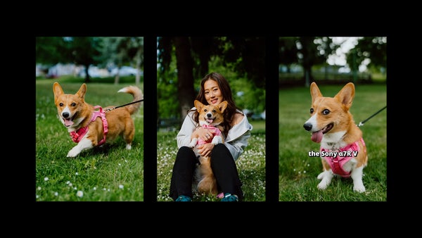 Photos by Justin Veenema. Sony Alpha 7R V. Sony 28-70mm f/2 G Master.