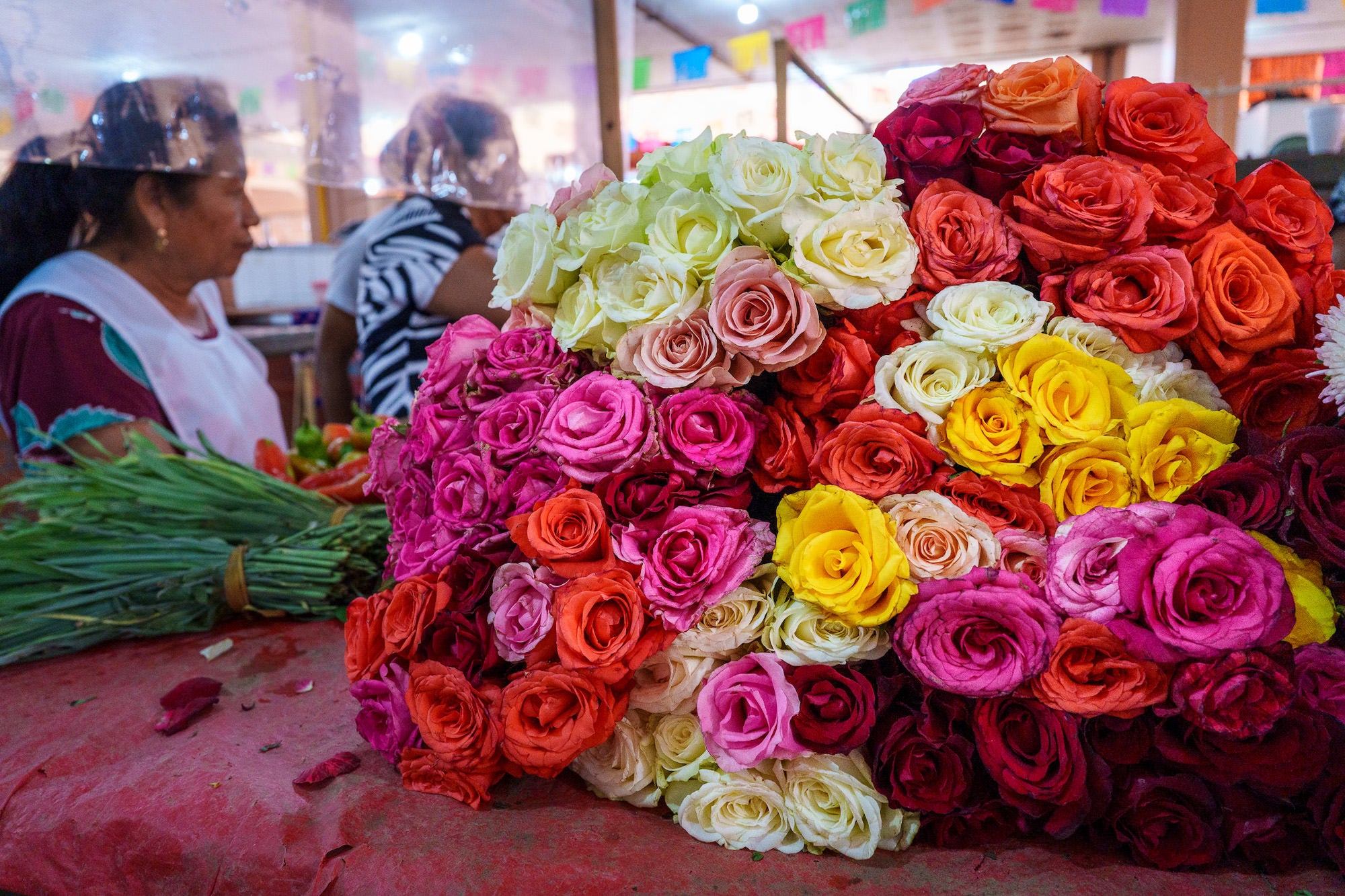 Photo by Katrin Eismann. Sony Alpha 7CR. Sony 24mm f/2.8 G. 1/30-sec., f/5.6, ISO 3200