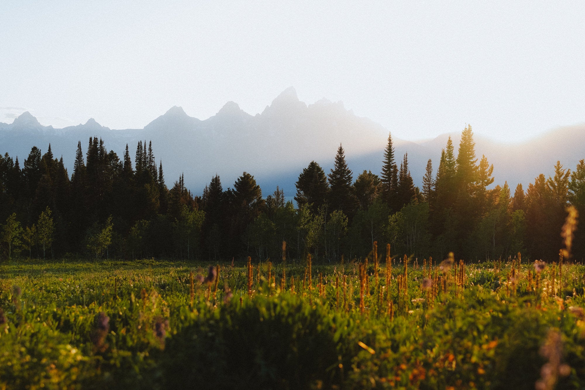 Kyle Meshna captures a landscape with the RX1R III