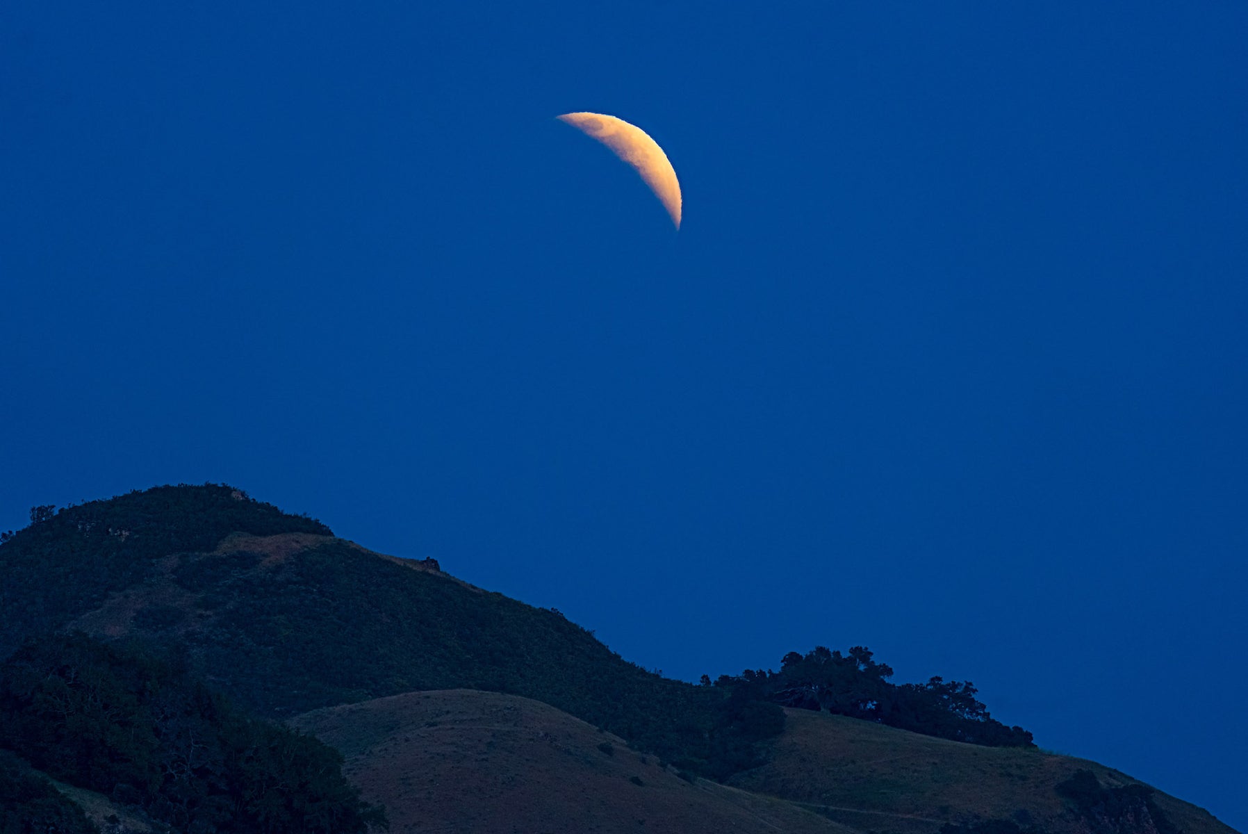 https://alphauniverseglobal.media.zestyio.com/Alpha-Universe-Lunar-Eclipse-Don-Smith-1.jpg?height=1200&fit=bounds