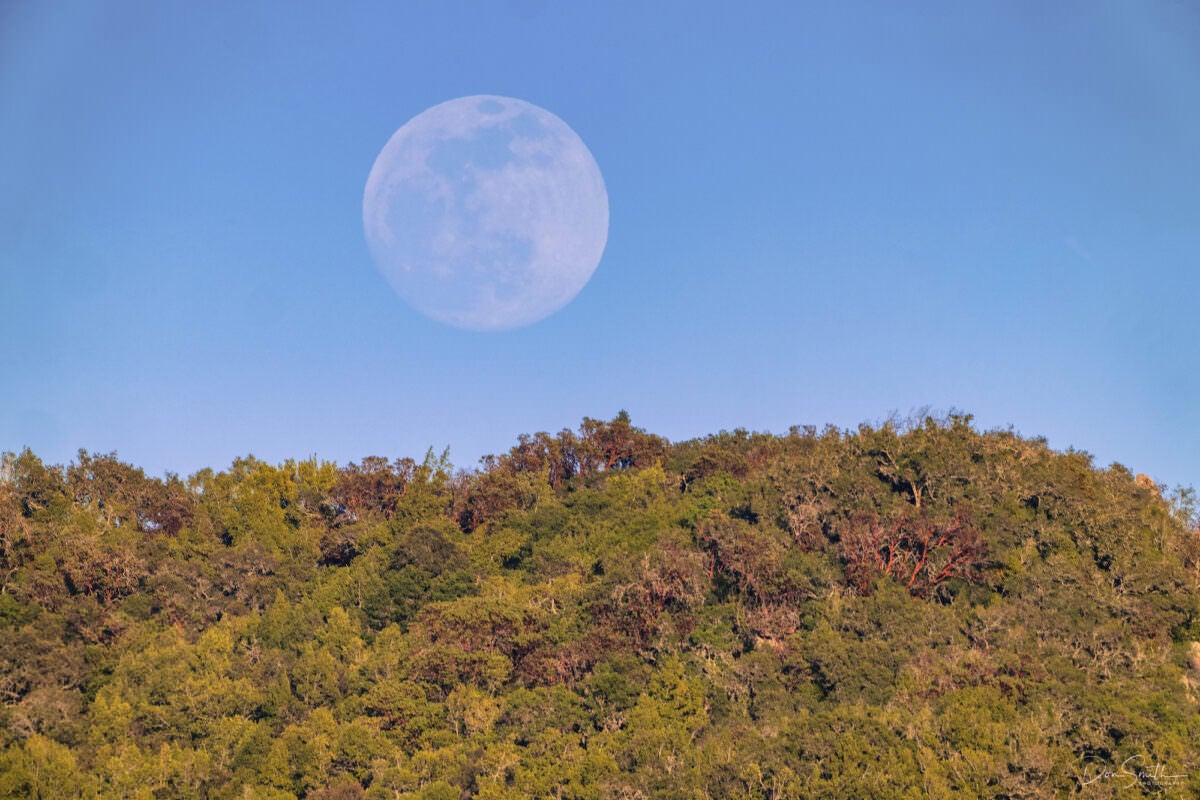 https://alphauniverseglobal.media.zestyio.com/Alpha-Universe-Lunar-Eclipse-Don-Smith-6.jpg?height=1200&fit=bounds