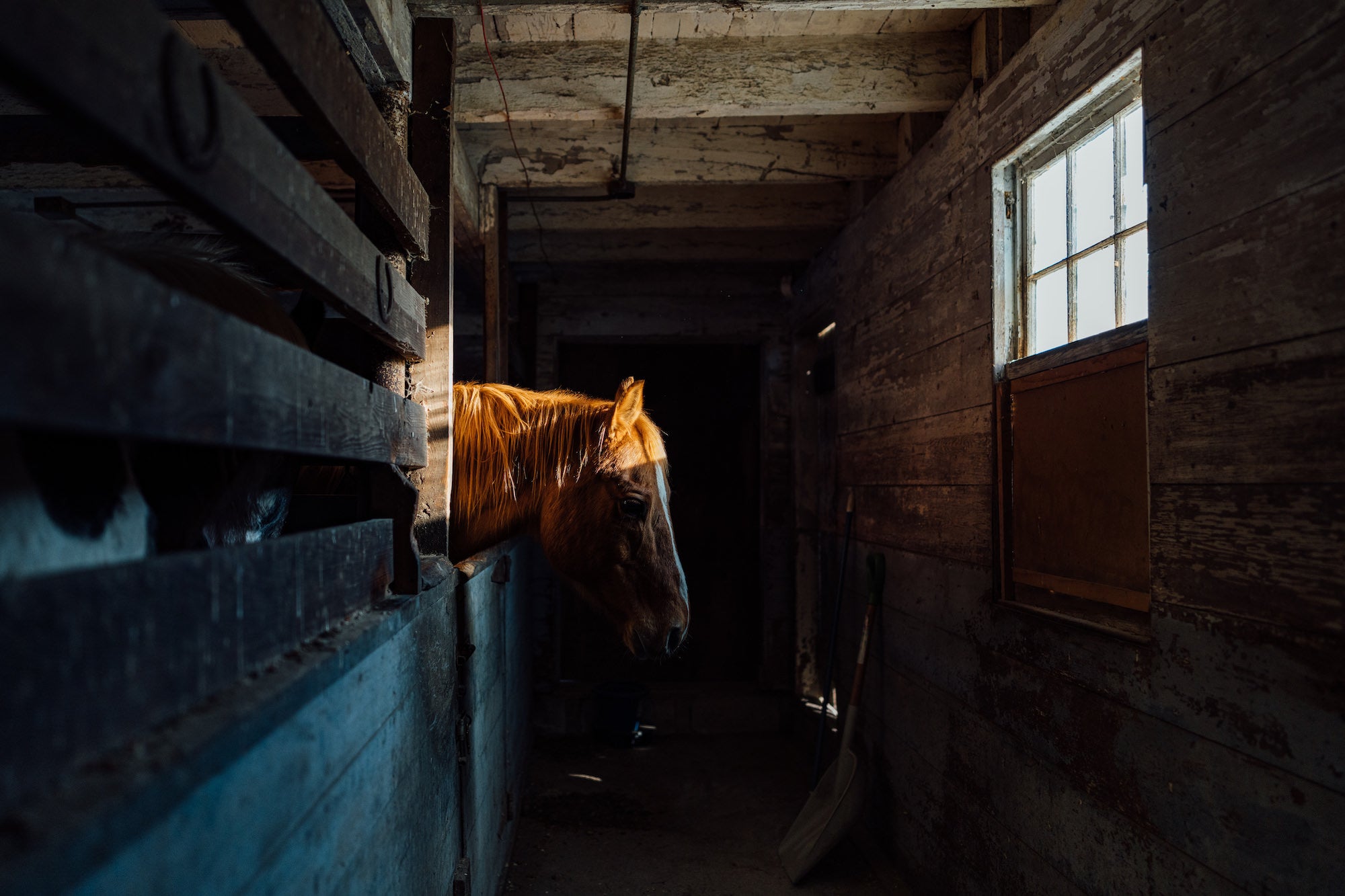 Photo by Michael Rubenstein. Sony Alpha 7R IV. Sony 24mm f/1.4 G Master. 1/800-sec., f/1.6, ISO 500