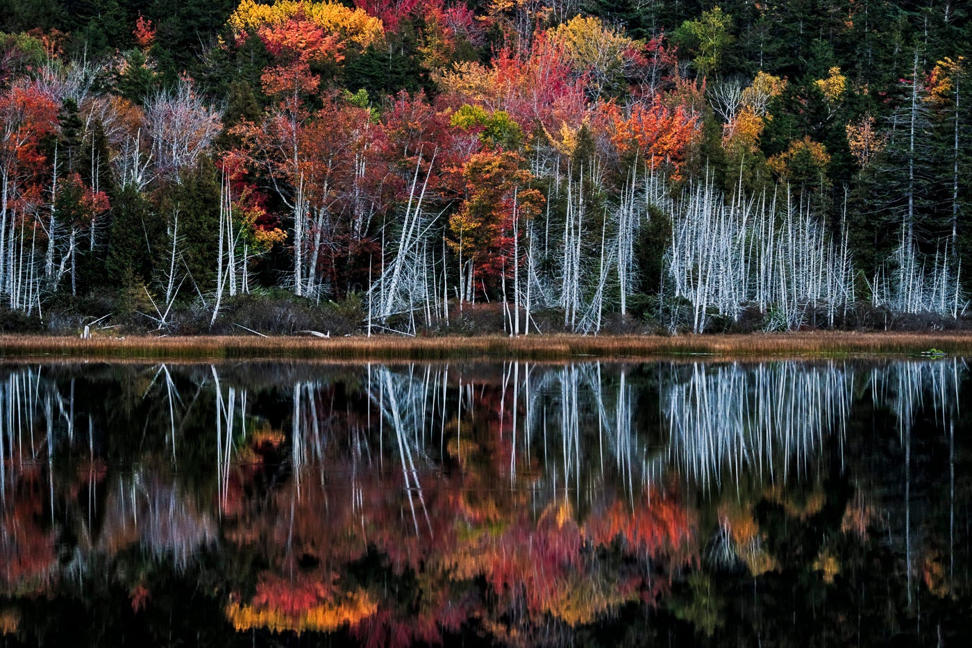 https://alphauniverseglobal.media.zestyio.com/Alpha-Universe-National-Parks-Andy-Katz-2.jpg?height=1200&fit=bounds