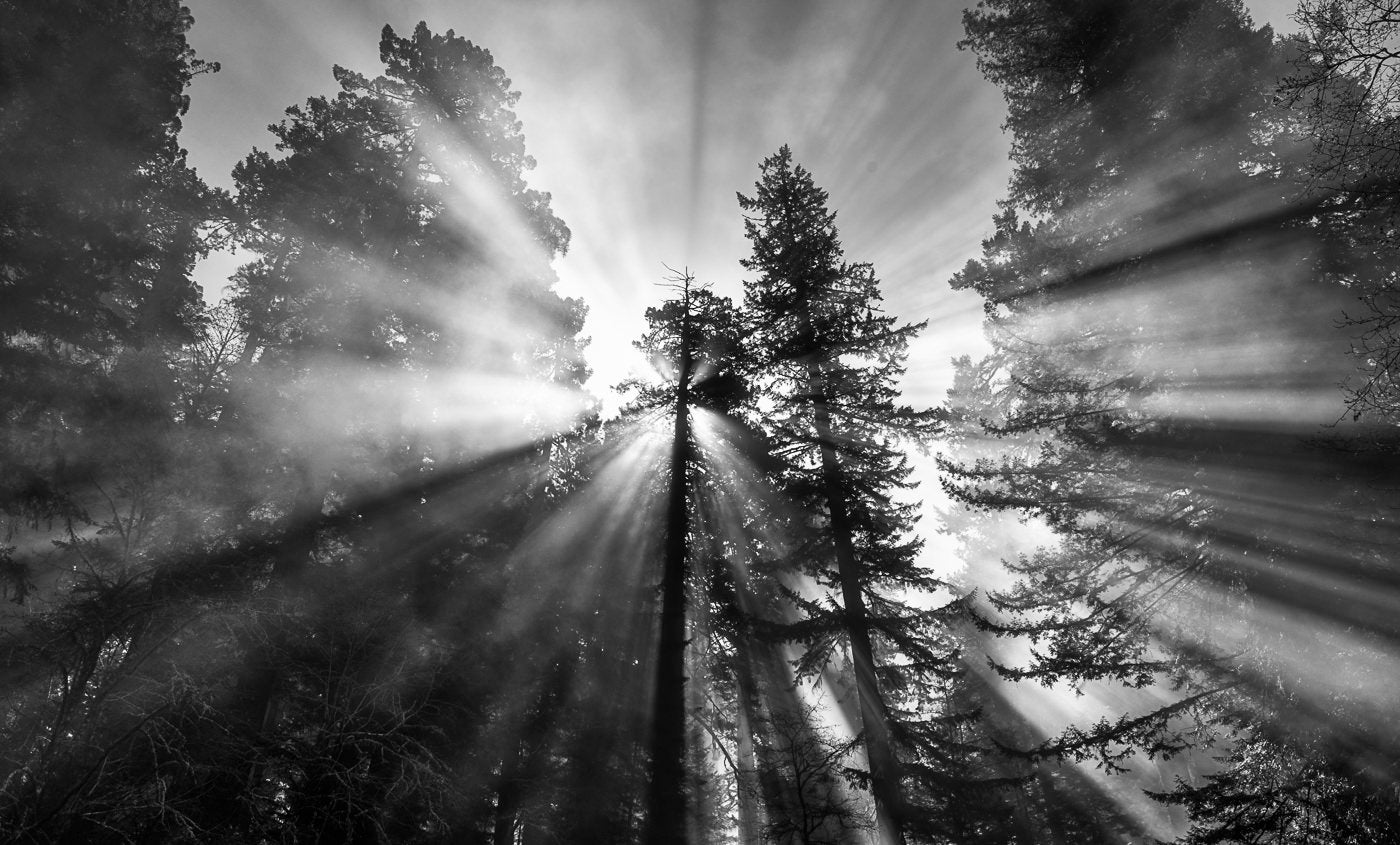 https://alphauniverseglobal.media.zestyio.com/Alpha-Universe-National-Parks-Andy-Katz-7.jpg?height=1200&fit=bounds