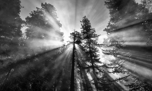 https://alphauniverseglobal.media.zestyio.com/Alpha-Universe-National-Parks-Andy-Katz-7.jpg?height=300&fit=bounds