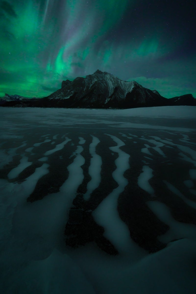 https://alphauniverseglobal.media.zestyio.com/Alpha-Universe-Nightscapes-Tips-Rachel-Ross-15.JPG?height=1200&fit=bounds
