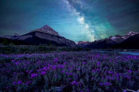 https://alphauniverseglobal.media.zestyio.com/Alpha-Universe-Nightscapes-Tips-Rachel-Ross-6.JPG?height=300&fit=bounds