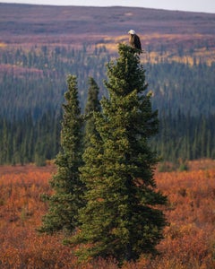 https://alphauniverseglobal.media.zestyio.com/Alpha-Universe-Outdoor-Travel-Tips-Scott-Kranz-7.jpg?height=300&fit=bounds