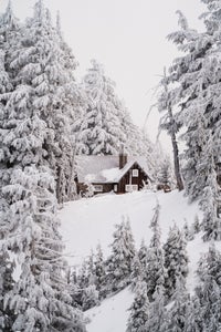 https://alphauniverseglobal.media.zestyio.com/Alpha-Universe-PNWLandscapes-Sarina-Pizzala-7.jpg?height=300&fit=bounds
