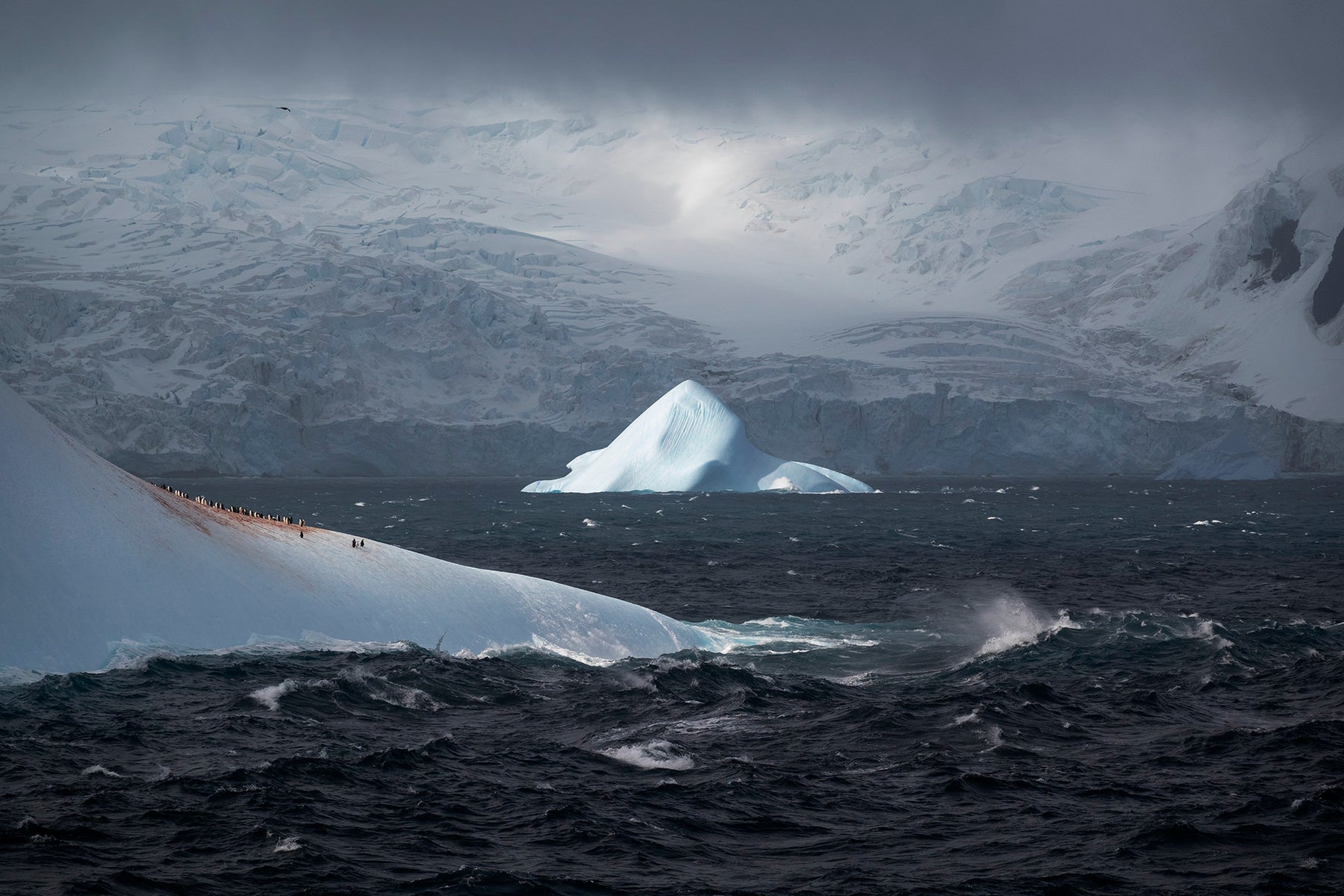 https://alphauniverseglobal.media.zestyio.com/Alpha-Universe-Photo-By-Camille-Seaman-6.jpg?height=1200&fit=bounds