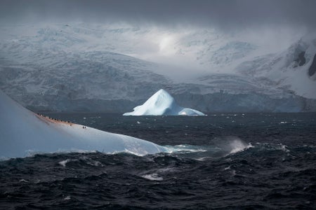 https://alphauniverseglobal.media.zestyio.com/Alpha-Universe-Photo-By-Camille-Seaman-6.jpg?height=300&fit=bounds