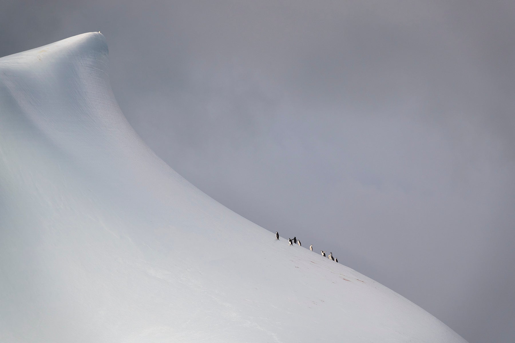 https://alphauniverseglobal.media.zestyio.com/Alpha-Universe-Photo-By-Camille-Seaman-7.jpg?height=1200&fit=bounds