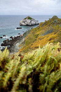 https://alphauniverseglobal.media.zestyio.com/Alpha-Universe-Photo-By-Chris-Burkard-2470GM-7.JPG?height=300&fit=bounds