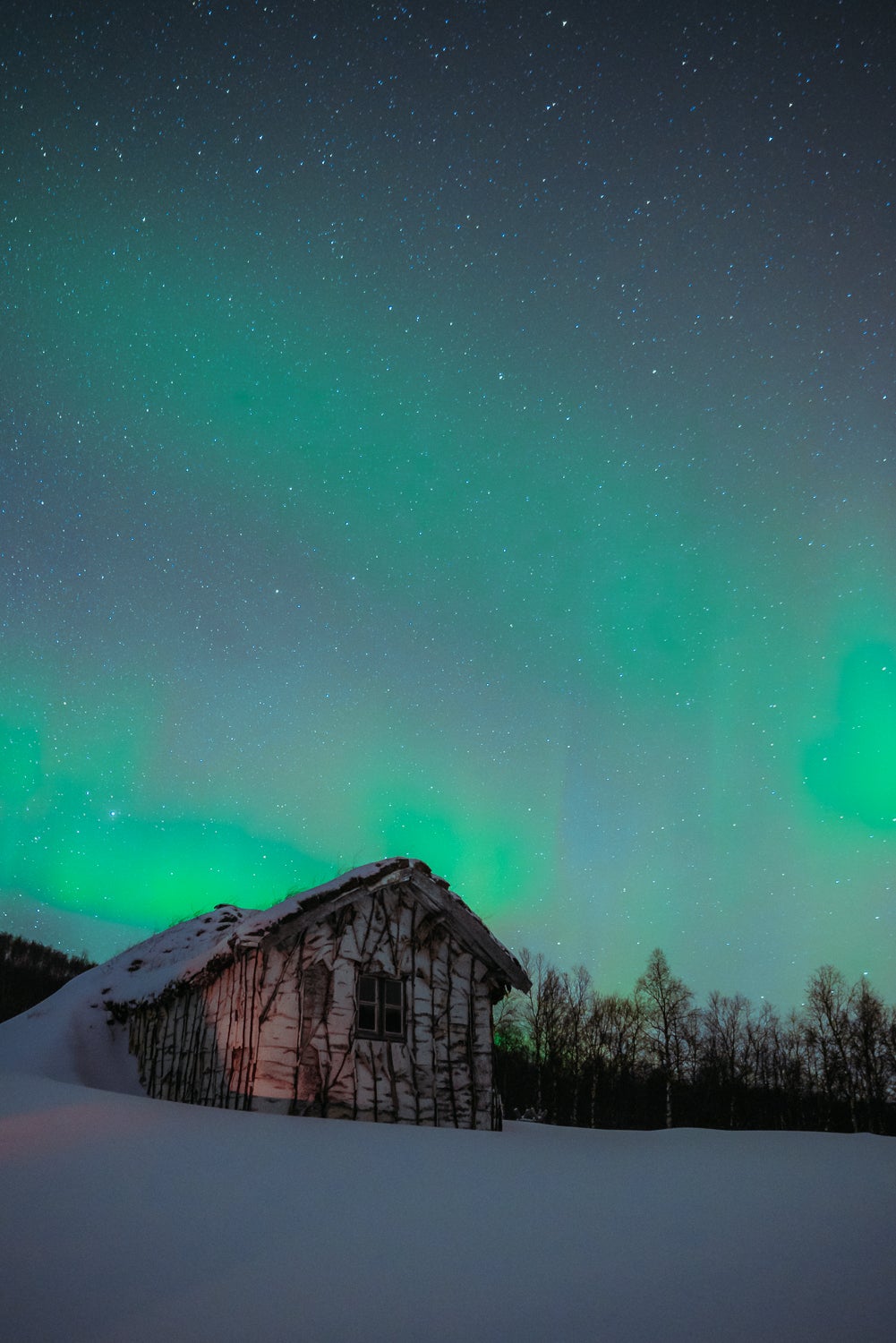 Nature curiosity: What are the northern lights?