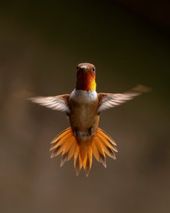 https://alphauniverseglobal.media.zestyio.com/Alpha-Universe-Photo-By-Matt-Stirn-19.jpg?height=300&fit=bounds
