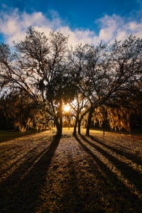 https://alphauniverseglobal.media.zestyio.com/Alpha-Universe-Photo-By-Miguel-Quiles-1635-4.jpg?height=300&fit=bounds