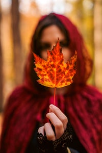 https://alphauniverseglobal.media.zestyio.com/Alpha-Universe-Photo-By-Sal-D-Alia-A7R-V-1.jpg?height=300&fit=bounds