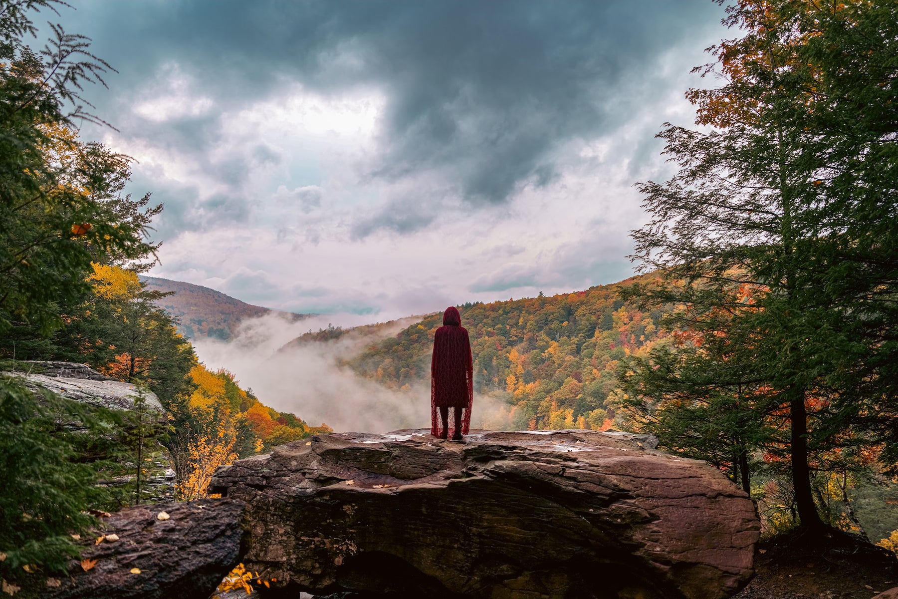 https://alphauniverseglobal.media.zestyio.com/Alpha-Universe-Photo-By-Sal-D-Alia-A7R-V-2.jpg?height=1200&fit=bounds