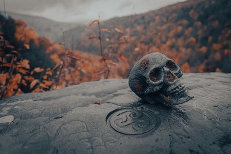 https://alphauniverseglobal.media.zestyio.com/Alpha-Universe-Photo-By-Sal-D-Alia-A7R-V-5.jpg?height=300&fit=bounds