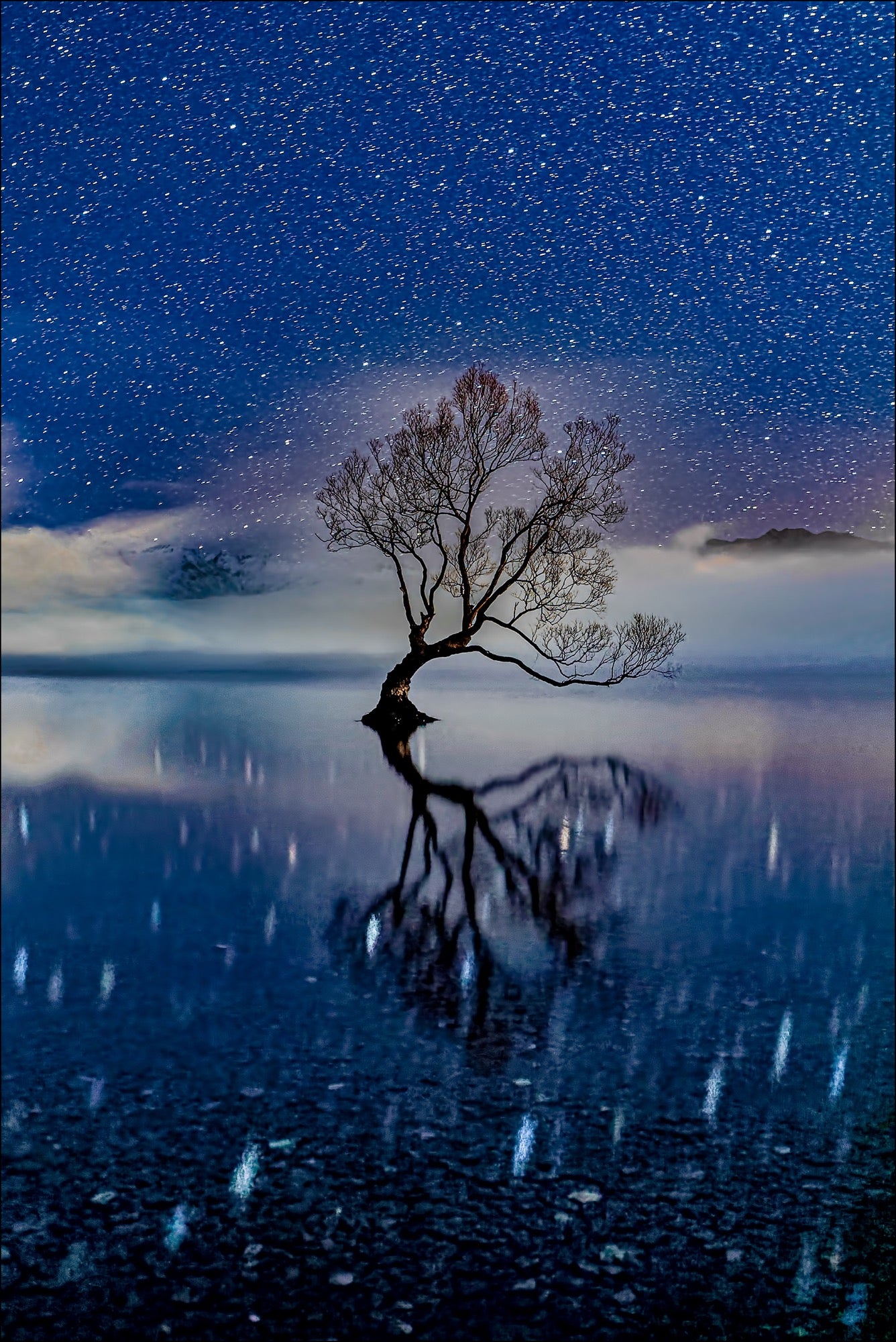 Alpha-Universe-Photo-by-Gary-Hart--Wanaka-Tree-Stars.Sk78N3u1L.jpg