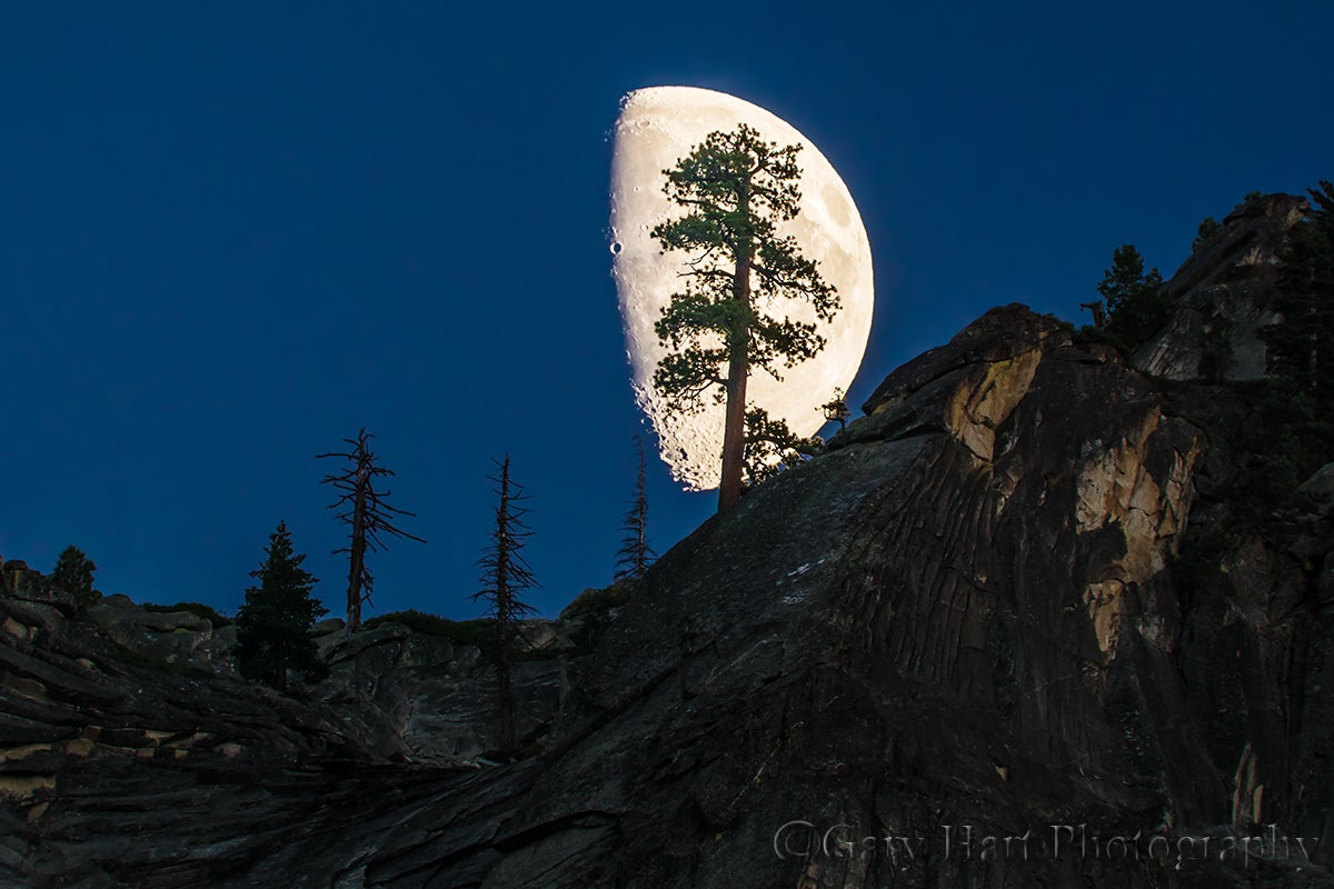 Alpha-Universe-Photo-by-Gary-Hart-a6000YNP15MotenkoOctDSC03211HalfMoonTree.jpg