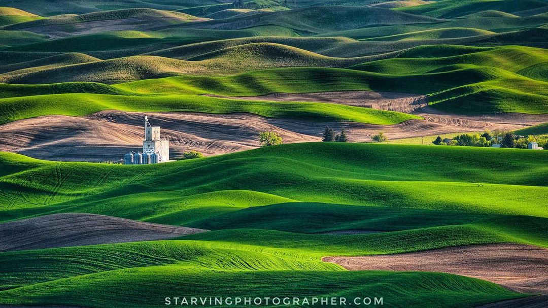 Alpha-Universe-Photo-by-Mahesh-Thapa-starvingphotographer-The-Palouse.jpg