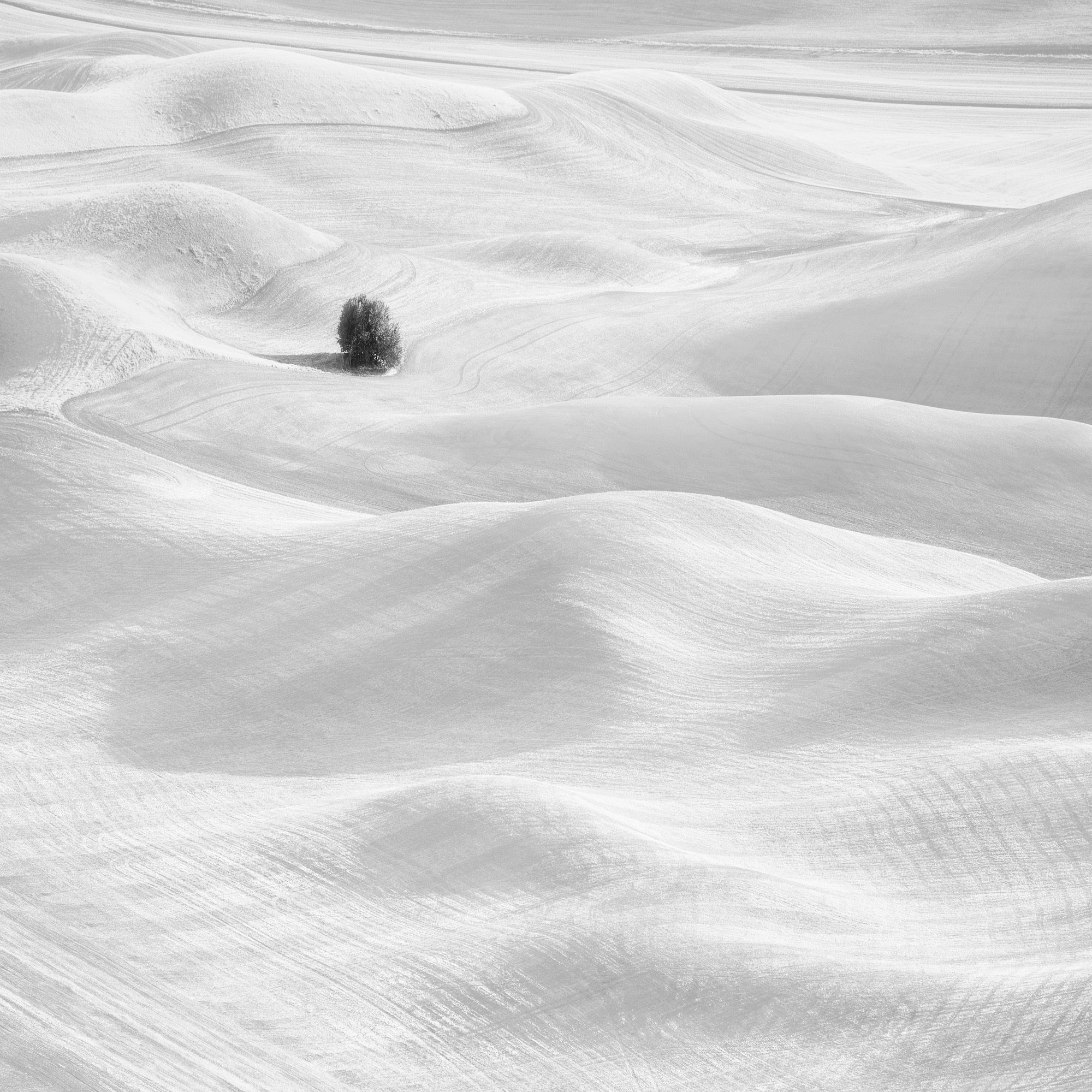 Alpha-Universe-Photo-by-Thibault-Roland.jpg