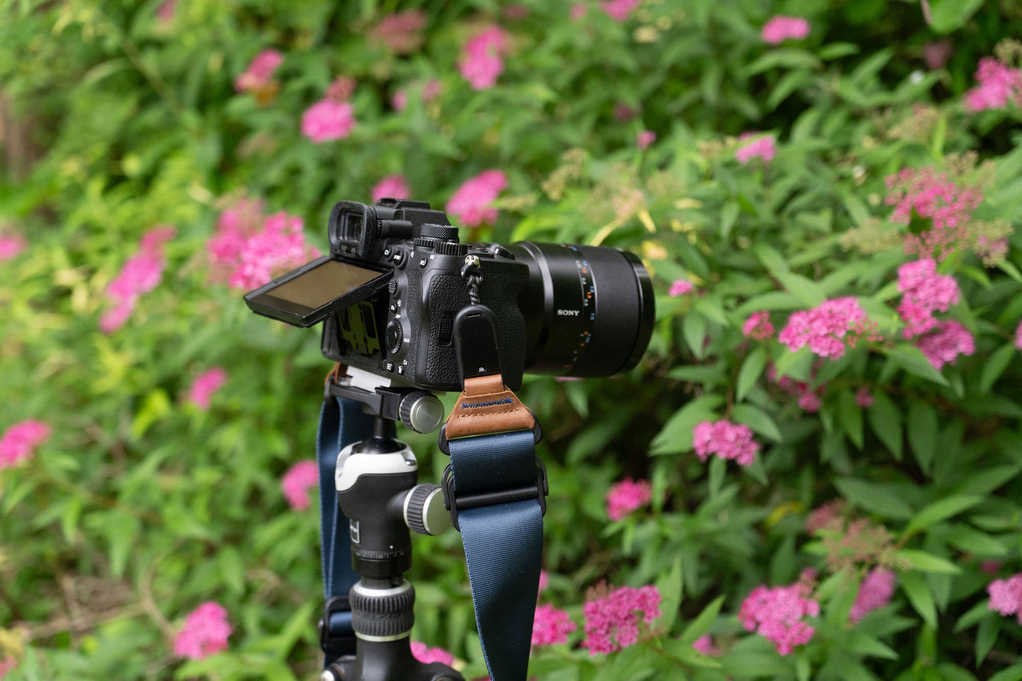 Sony Artisan Tony Gale shows his step-by-step guide to using Pixel Shift on your Alpha camera.