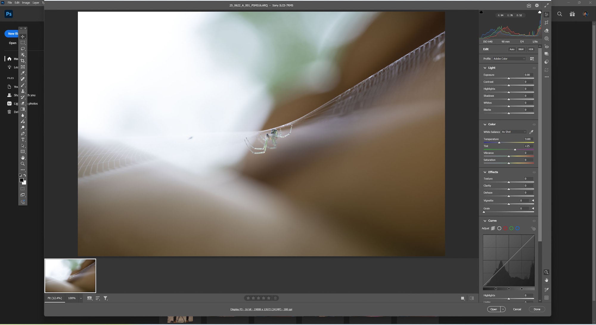 Sony Artisan Tony Gale shows his step-by-step guide to using Pixel Shift on your Alpha camera.