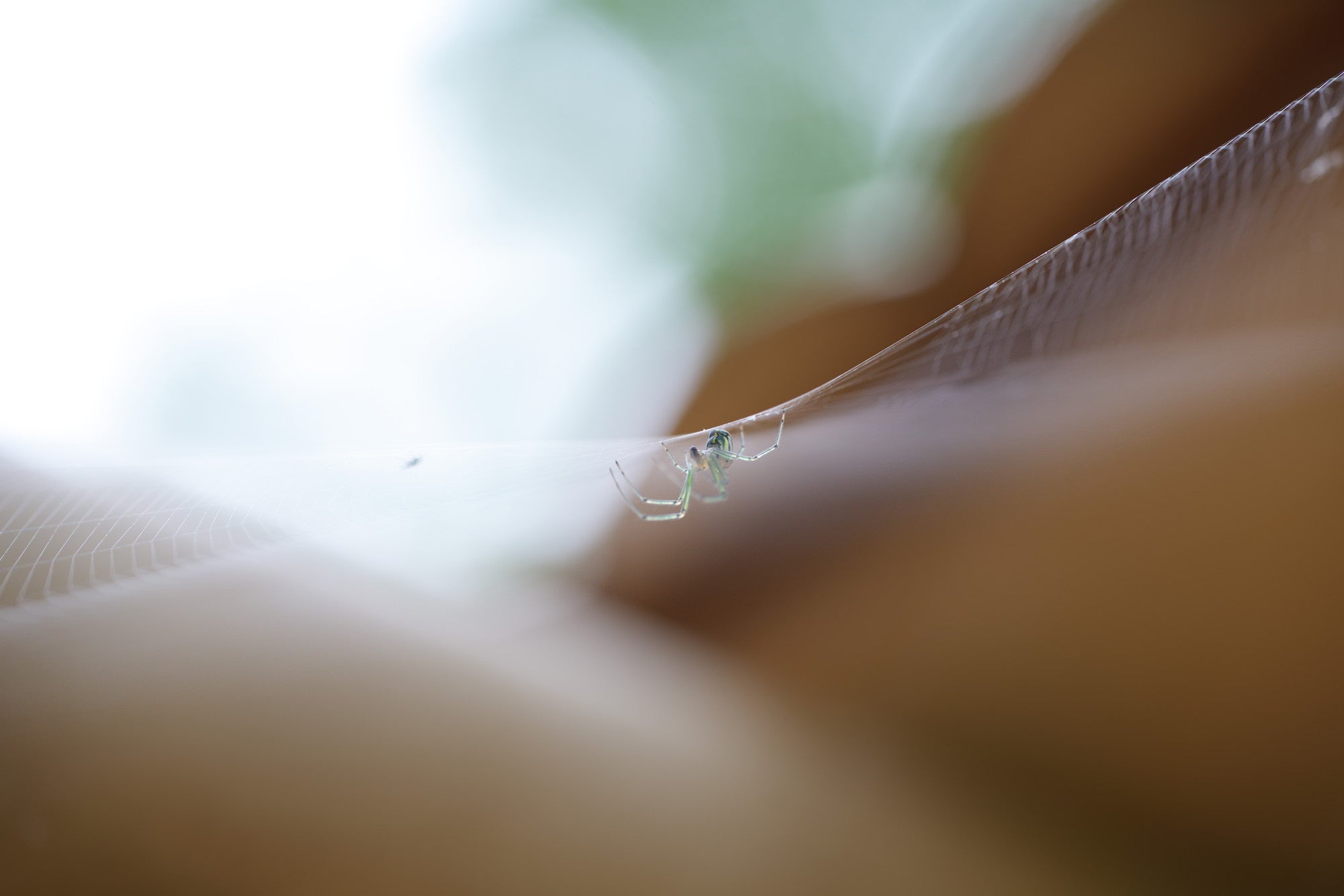 Sony Artisan Tony Gale shows his step-by-step guide to using Pixel Shift on your Alpha camera.