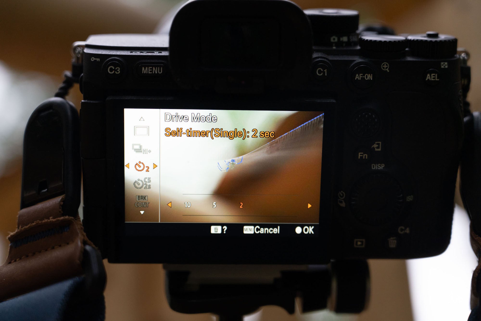 Sony Artisan Tony Gale shows his step-by-step guide to using Pixel Shift on your Alpha camera.