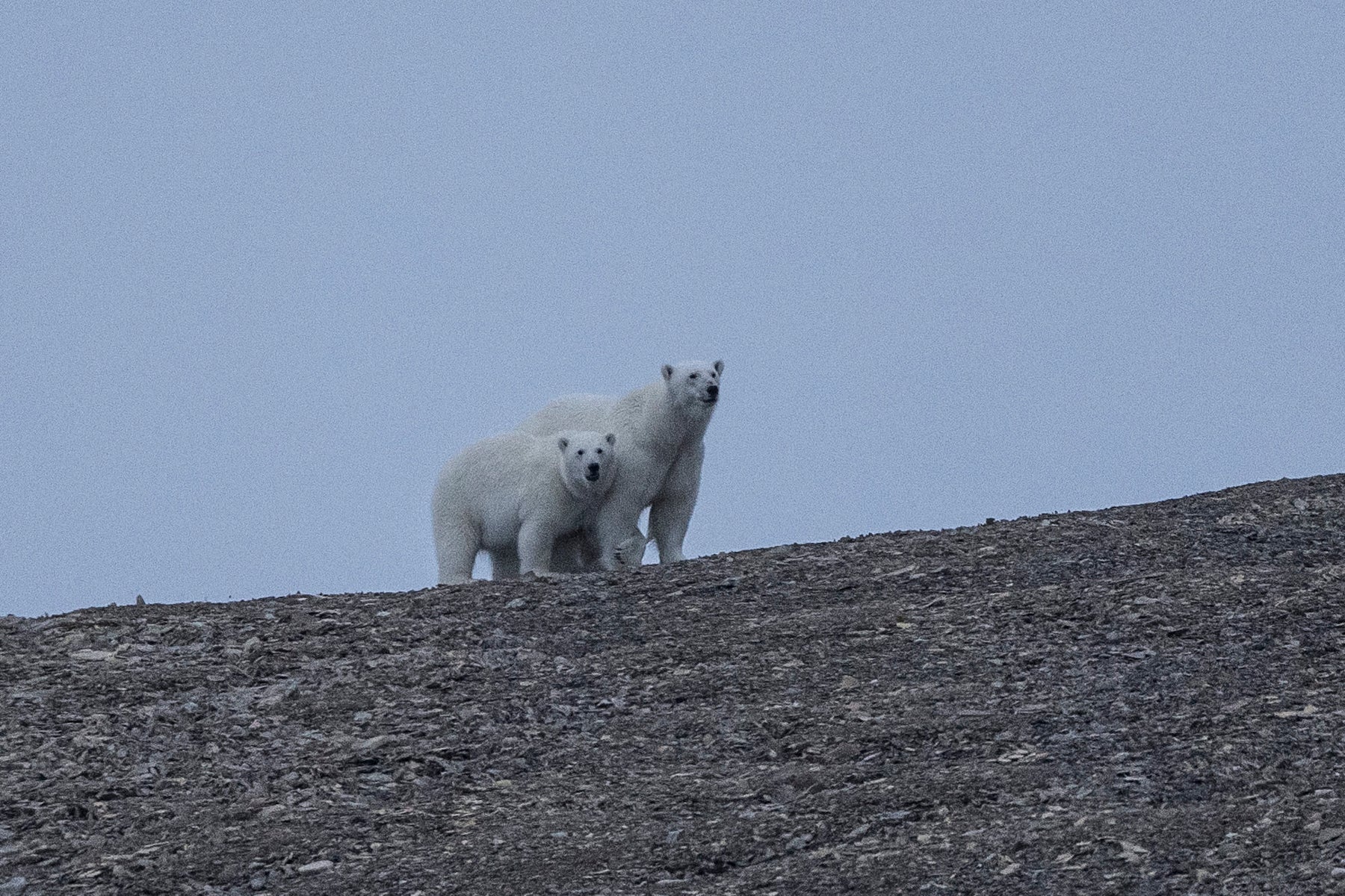 https://alphauniverseglobal.media.zestyio.com/Alpha-Universe-Polar-Passage-Renan-Ozturk-22.jpg?height=1200&fit=bounds