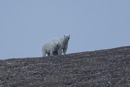 https://alphauniverseglobal.media.zestyio.com/Alpha-Universe-Polar-Passage-Renan-Ozturk-22.jpg?height=300&fit=bounds