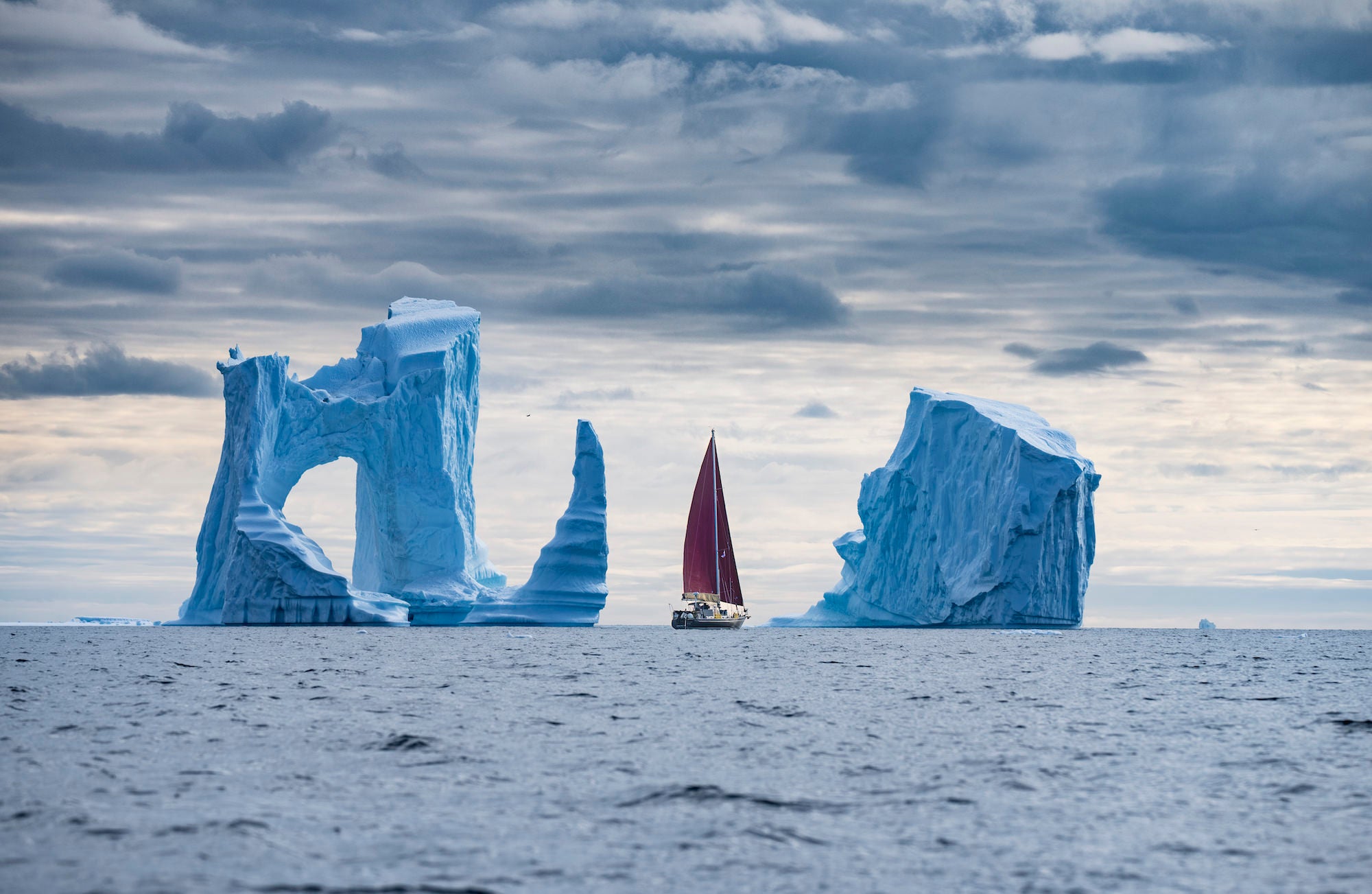 Photo by Renan Ozturk. Sony Alpha 1. Sony 100-400mm f/4.5-5.6 G Master. 1/500-sec., f/8, ISO 125