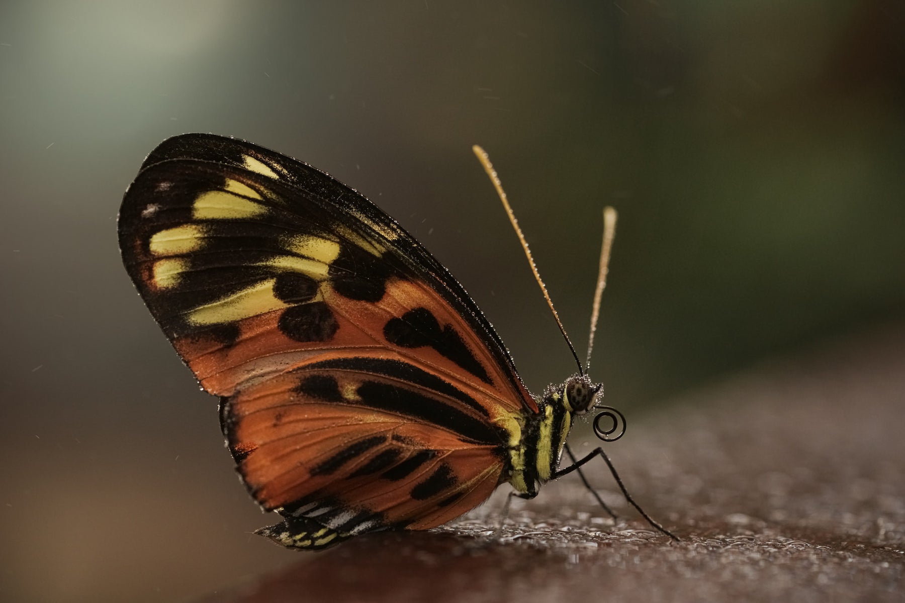 https://alphauniverseglobal.media.zestyio.com/Alpha-Universe-Pollinators-Caroline-Jensen-1.jpg?height=1200&fit=bounds