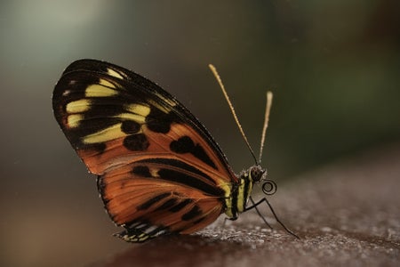 https://alphauniverseglobal.media.zestyio.com/Alpha-Universe-Pollinators-Caroline-Jensen-1.jpg?height=300&fit=bounds