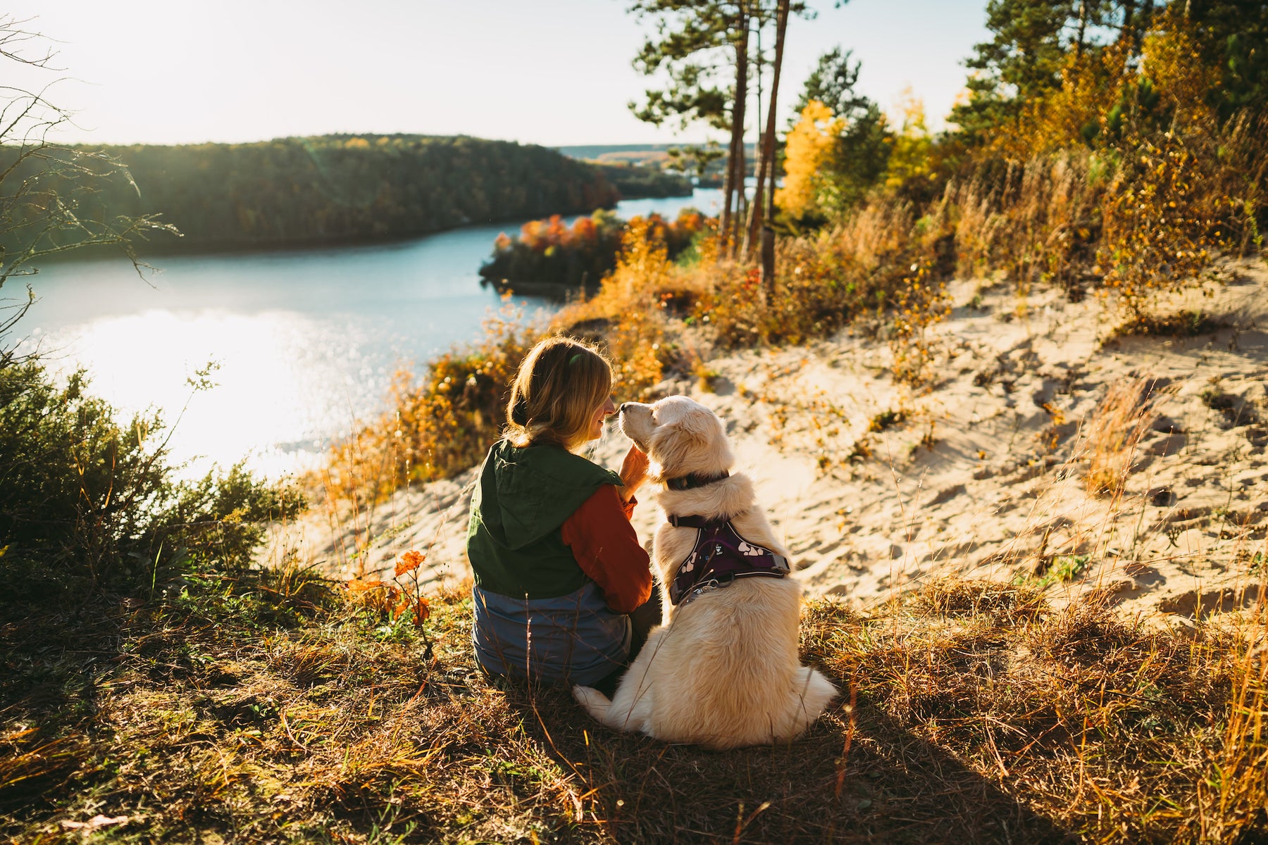 https://alphauniverseglobal.media.zestyio.com/Alpha-Universe-Rachel-Jezowski-Wildgoldens-011.JPG?height=1200&fit=bounds