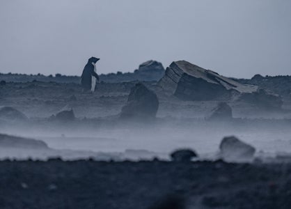 https://alphauniverseglobal.media.zestyio.com/Alpha-Universe-Renan-Ozturk-Field-Notes-Lava-Lake-18.jpg?height=300&fit=bounds