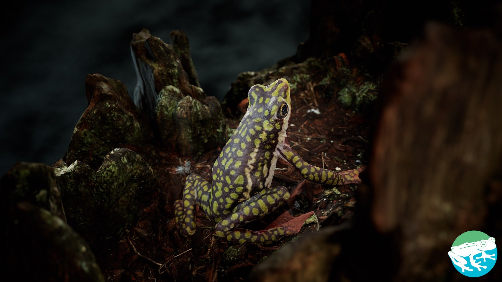 https://alphauniverseglobal.media.zestyio.com/Alpha-Universe-Scott-Tragaser-Atelopus3_beauty_render.jpeg?height=1200&fit=bounds