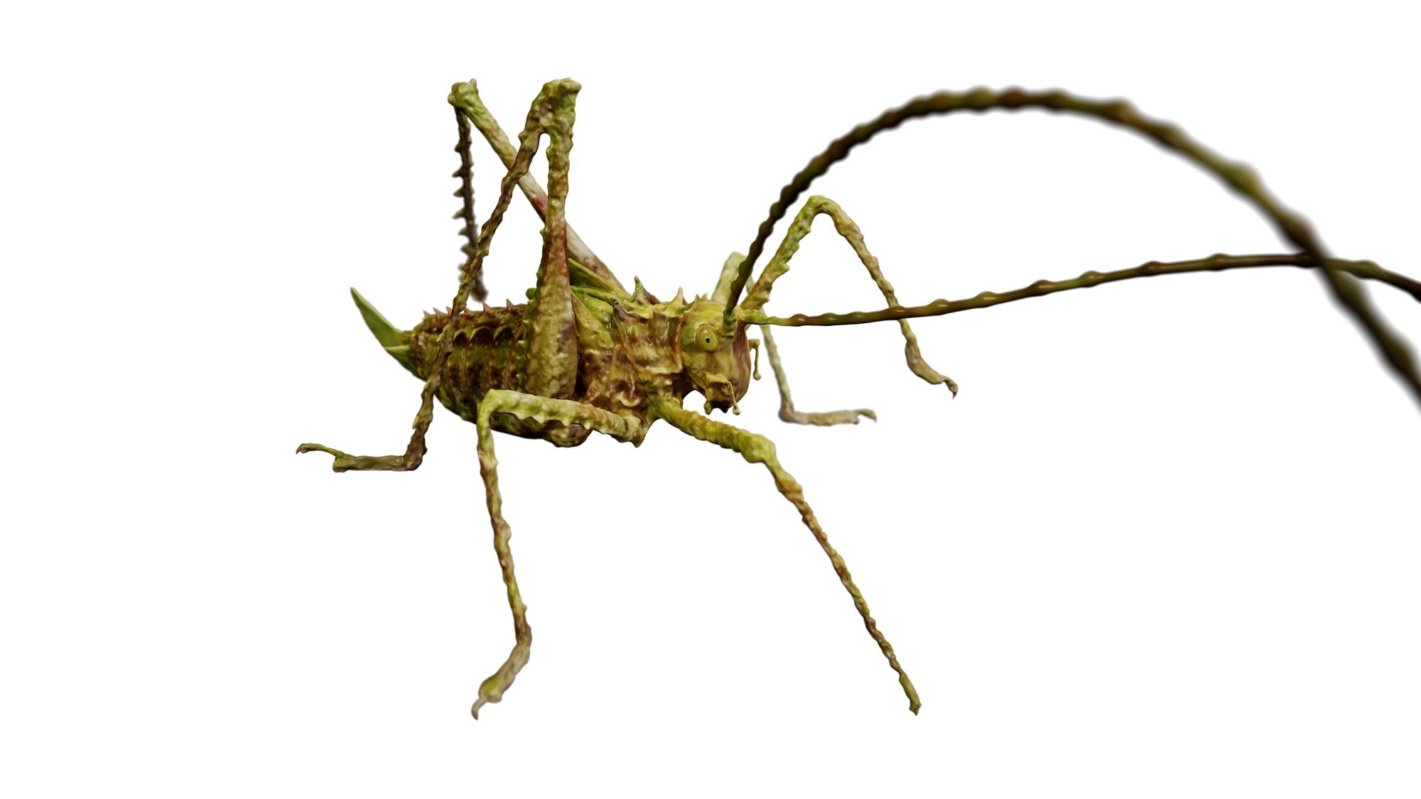 https://alphauniverseglobal.media.zestyio.com/Alpha-Universe-Scott-Trageser-katydid_transparent_background.jpeg?height=1200&fit=bounds