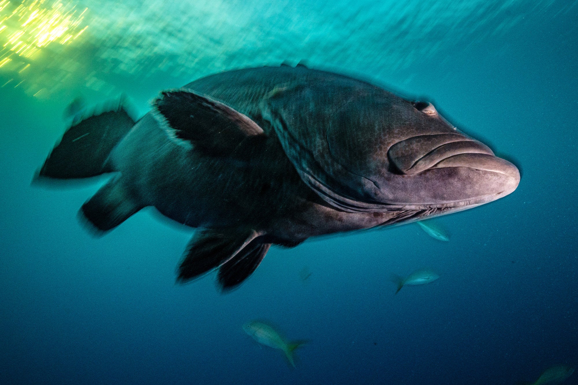 Photo by Cristina Mittermeier. Sony Alpha 1. Sony 12-24mm f/2.8 G Master.