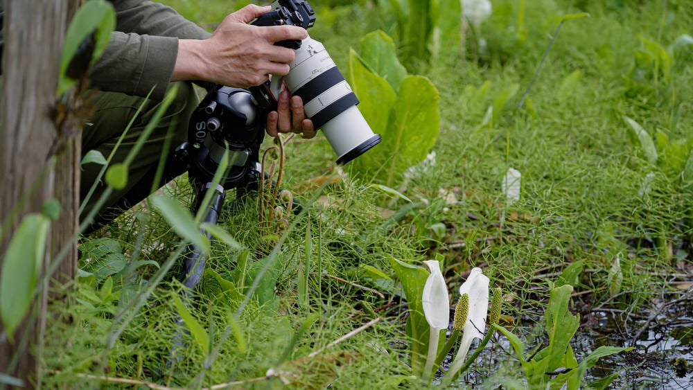 Sony Expands the Range of Shooting Expressions With The High