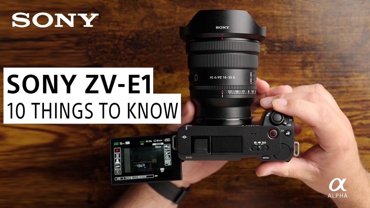 Sony ZV-E1 Camera Settings for Underwater Videography [VIDEO]