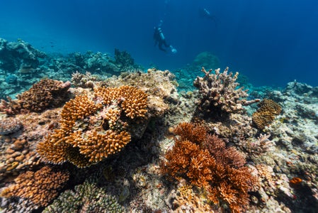 https://alphauniverseglobal.media.zestyio.com/Alpha-Universe-Stan-Moniz-Fiji-4.jpg?height=300&fit=bounds