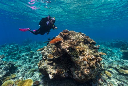 https://alphauniverseglobal.media.zestyio.com/Alpha-Universe-Stan-Moniz-Fiji-5.jpg?height=300&fit=bounds