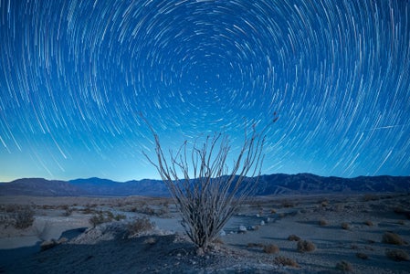 https://alphauniverseglobal.media.zestyio.com/Alpha-Universe-StanMoniz-16G-9.jpg?height=300&fit=bounds