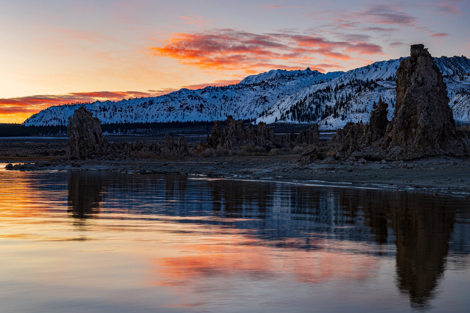 https://alphauniverseglobal.media.zestyio.com/Alpha-Universe-StanMoniz-MONO-LAKE.jpg?height=1200&fit=bounds